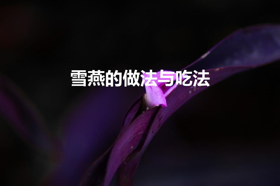 雪燕的做法与吃法（如何煮雪燕）