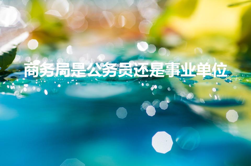 商务局是公务员还是事业单位（商务局是什么编制,待遇怎样）