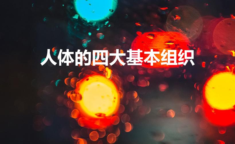 人体的四大基本组织（人体的四种基本组织是什么）