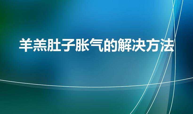 羊羔肚子胀气的解决方法（羊肚子胀气的解决方法有哪些）