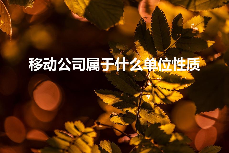 移动公司属于什么单位性质（移动公司属于什么性质的单位）