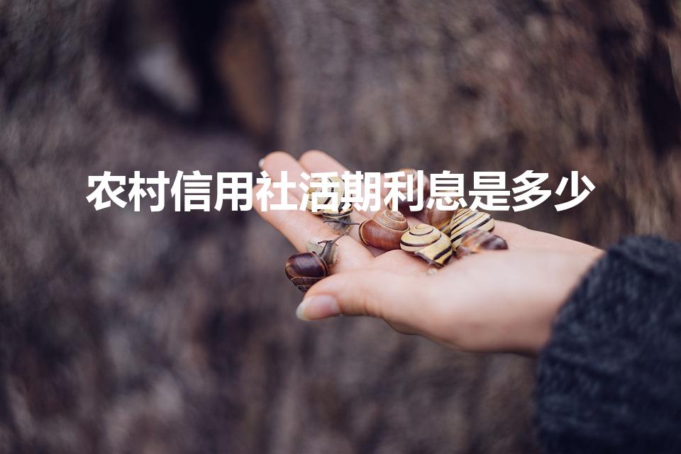 农村信用社活期利息是多少（农信社的存款利息是多少）