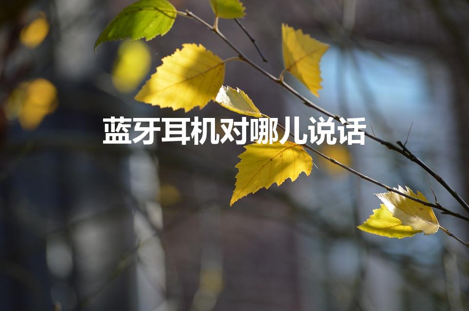 蓝牙耳机对哪儿说话（蓝牙耳机对着哪里说话）
