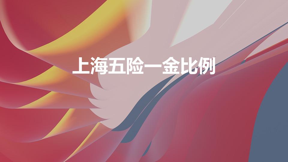 上海五险一金比例（上海五险一金缴纳比例是多少）