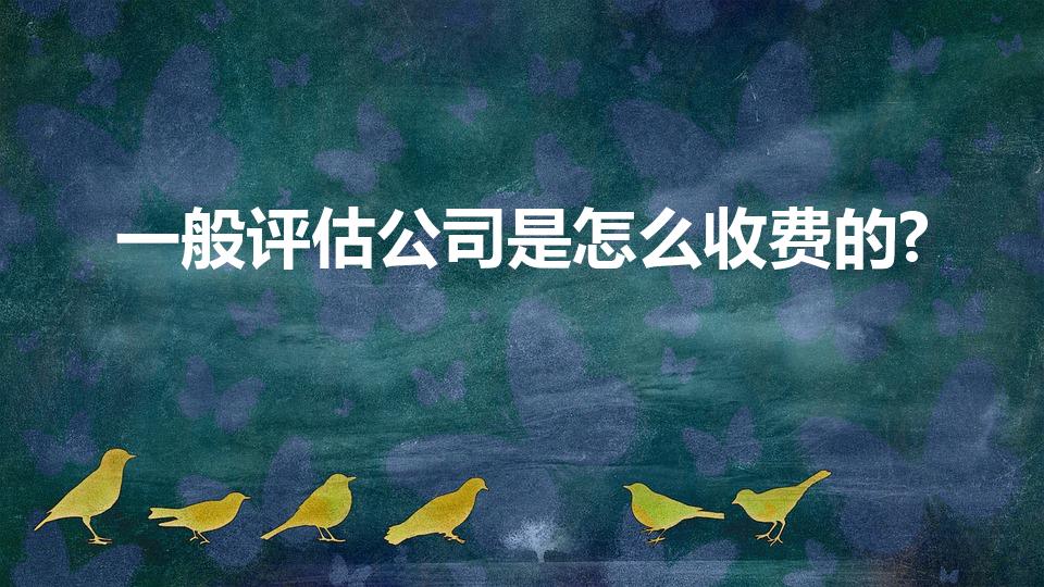 一般评估公司是怎么收费的?（房产评估公司怎么收费）