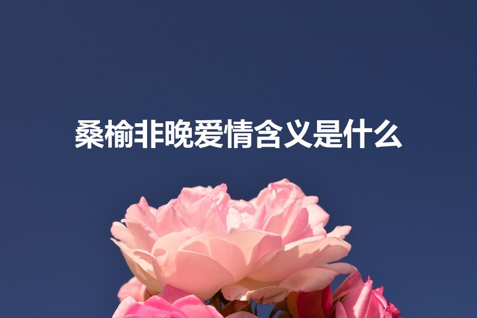 桑榆非晚爱情含义是什么（甘棠之爱是什么意思）