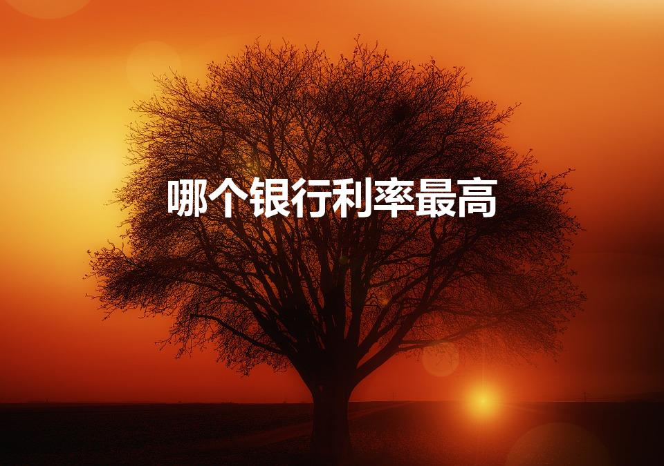 哪个银行利率最高（哪个银行存款利息高）