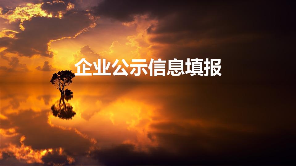 企业公示信息填报（全国企业信用信息公示系统怎么填报）