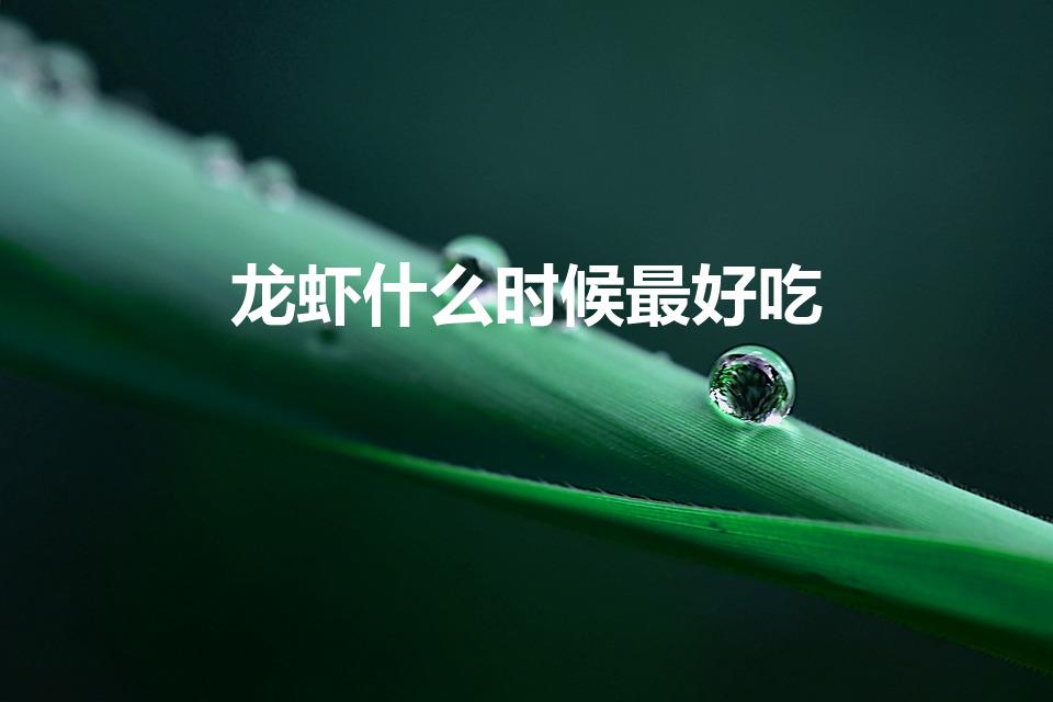 龙虾什么时候最好吃（小龙虾什么季节吃）