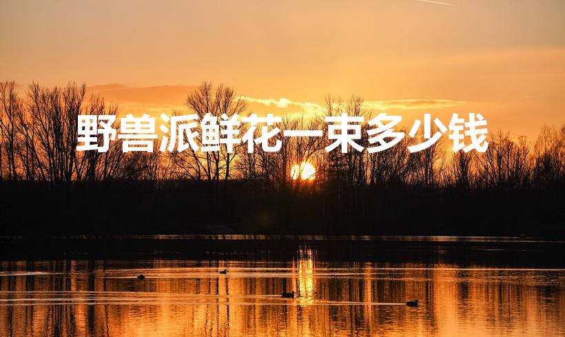 野兽派鲜花一束多少钱（给女朋友买花怎么样最便宜）