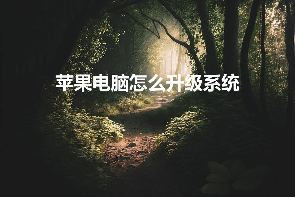 苹果电脑怎么升级系统（怎样更新升级苹果电脑系统）