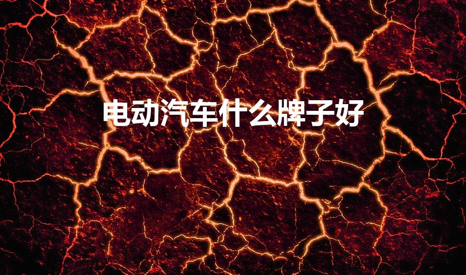 电动汽车什么牌子好（电动汽车哪个牌子最好质量最好）