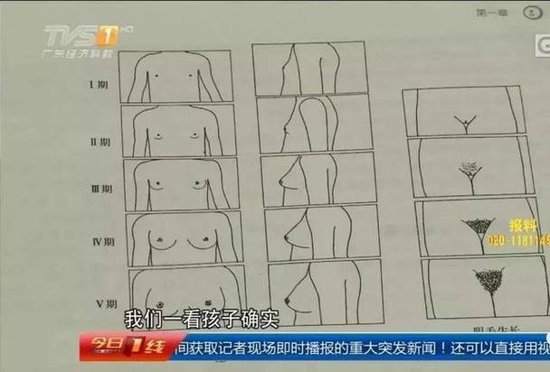 十岁女孩胸部开始发育正常吗