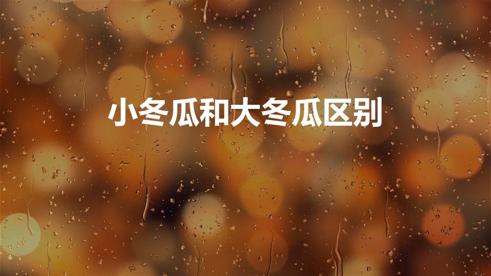 小冬瓜和大冬瓜区别（小冬瓜与大冬瓜有什么区别）