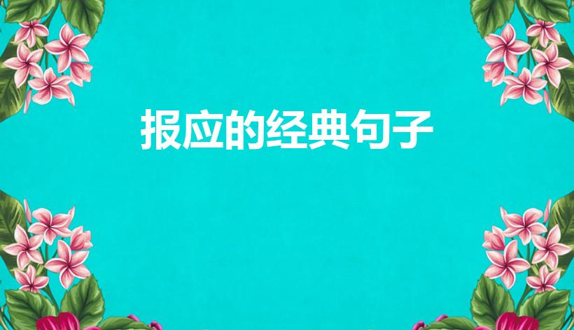 报应的经典句子（佛说因果报应的经典句子）