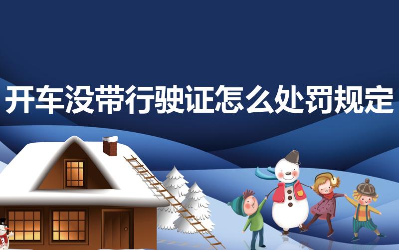 开车没带行驶证怎么处罚规定（没带行驶证上路怎么处罚）