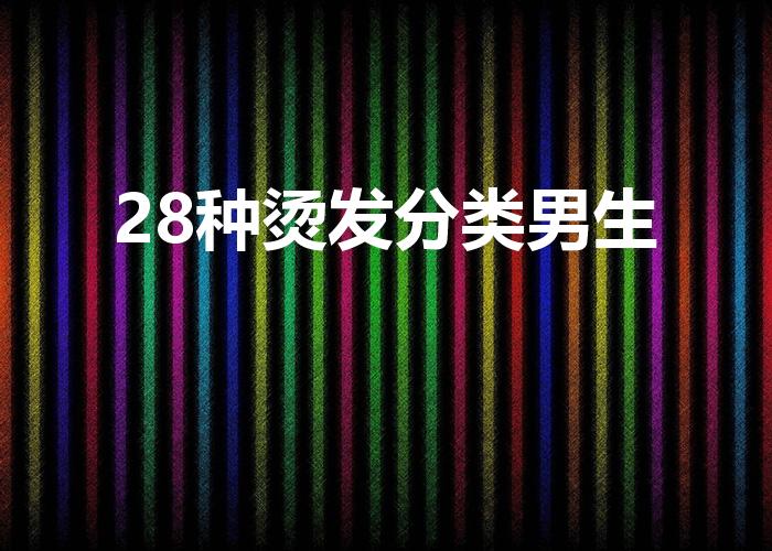 28种烫发分类男生（男生有哪些烫发种类）