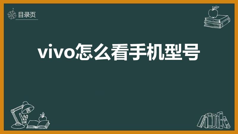 vivo怎么看手机型号（vivo如何查询手机型号）
