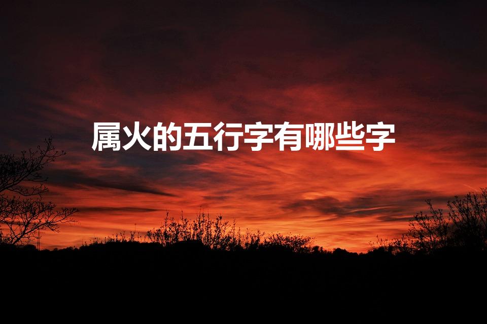 属火的五行字有哪些字（五行属火的有哪些字）