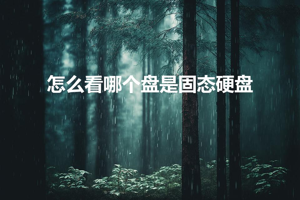 怎么看哪个盘是固态硬盘（怎么看固态硬盘是哪个盘）