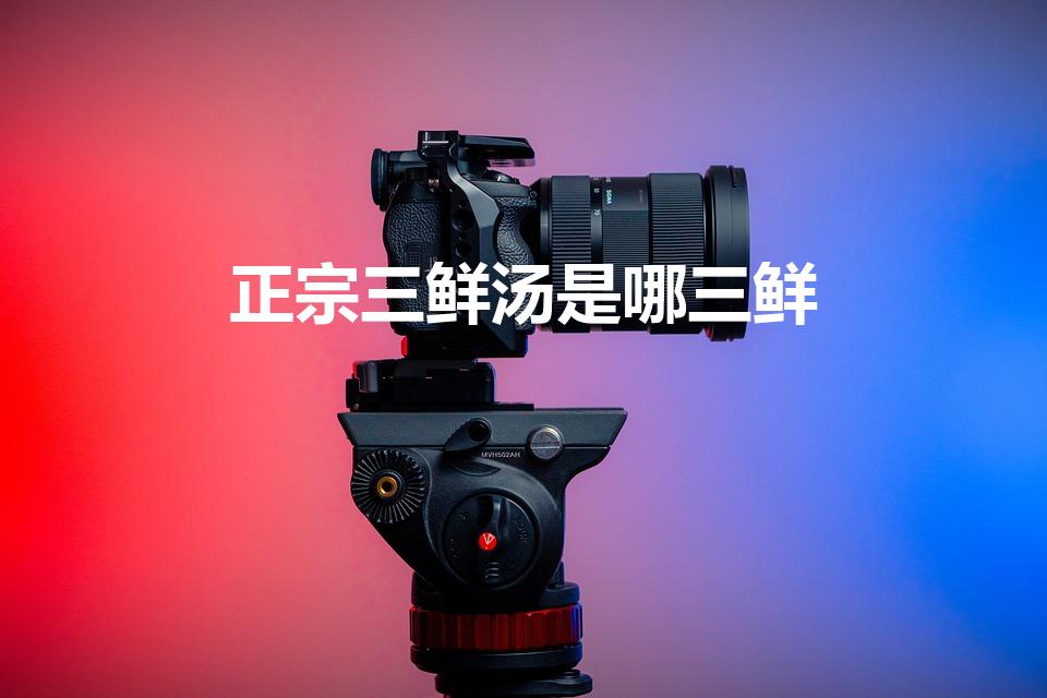 正宗三鲜汤是哪三鲜（三鲜汤是哪三鲜）