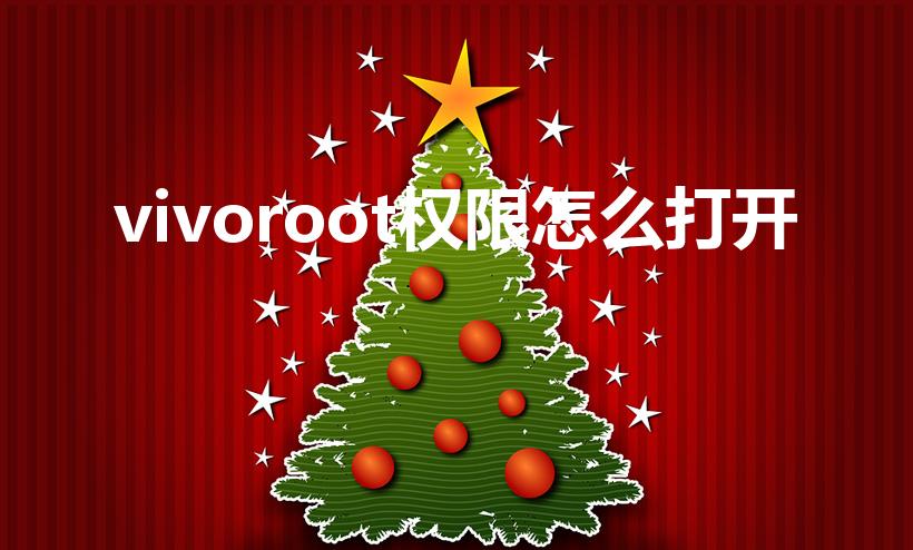 vivoroot权限怎么打开