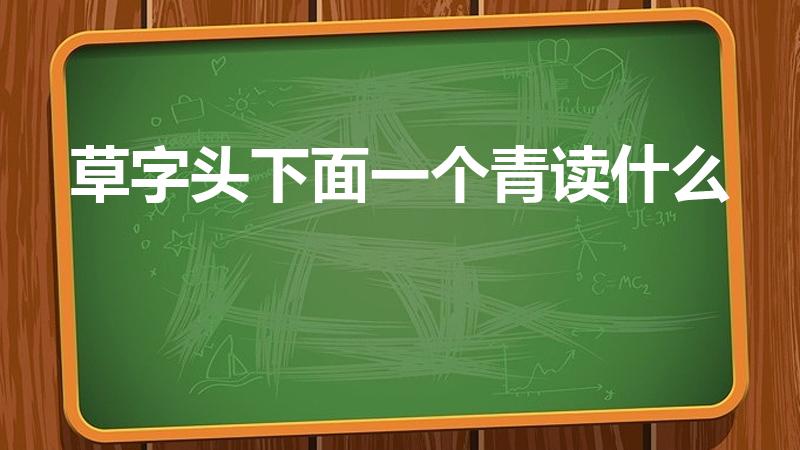 草字头下面一个青读什么（草字头,下面一个“青”字读什么）