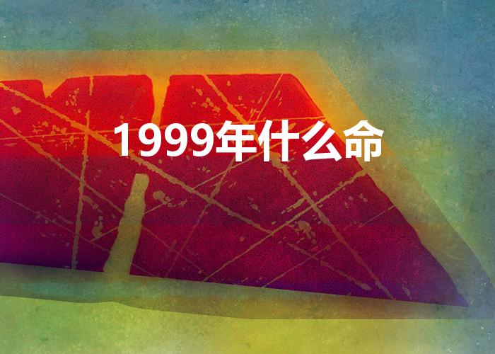 1999年什么命（1999年出生是什么命）