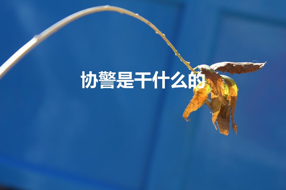 协警是干什么的（什么是协警）