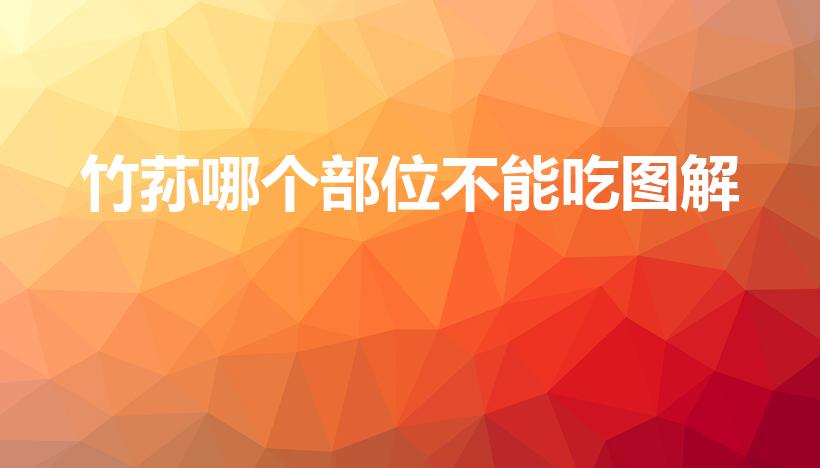 竹荪哪个部位不能吃图解（竹荪哪些地方不能吃）