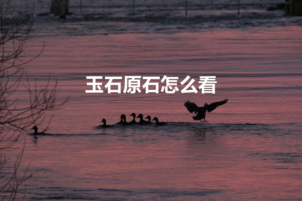玉石原石怎么看（如何鉴别玉原石）