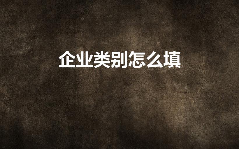 企业类别怎么填（企业类型怎么填写）