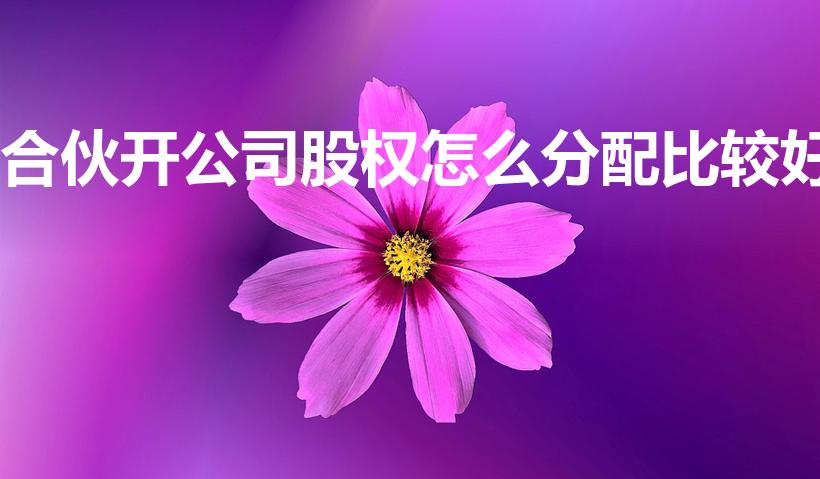 合伙开公司股权怎么分配比较好（合伙开店如何分配股份）