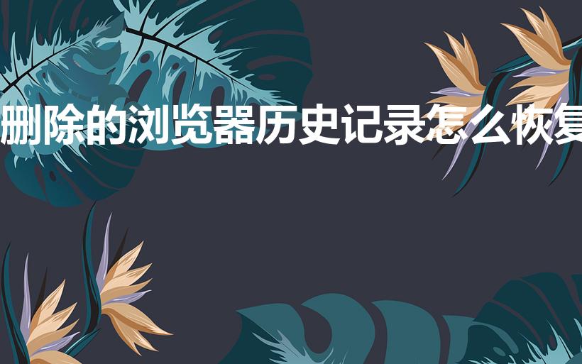 删除的浏览器历史记录怎么恢复（历史浏览记录删了怎么恢复）