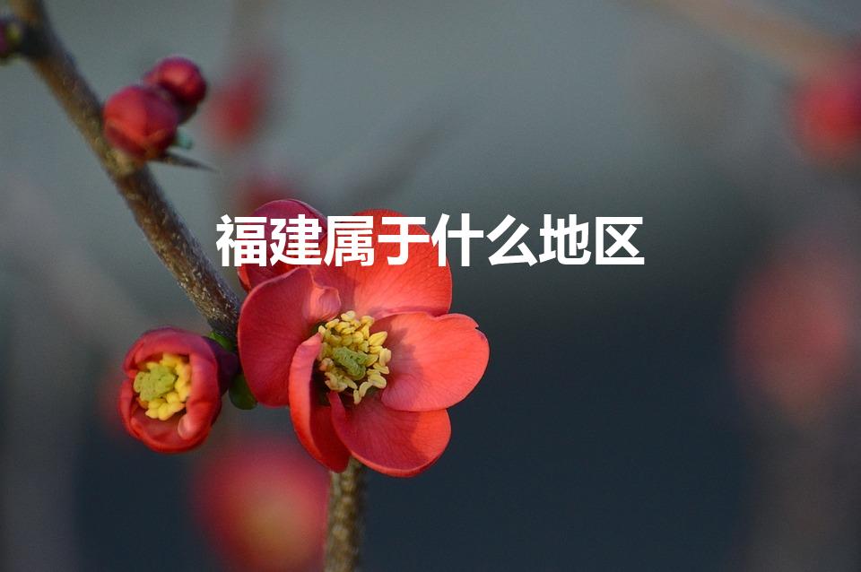 福建属于什么地区（福建属于华南还是华东）