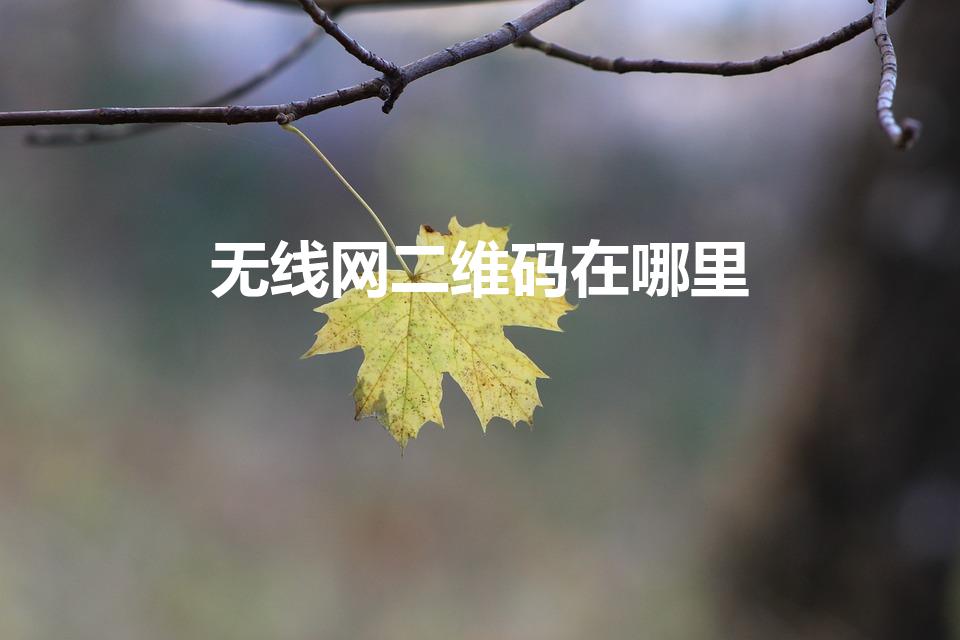 无线网二维码在哪里（WIFI的二维码在哪里找啊）