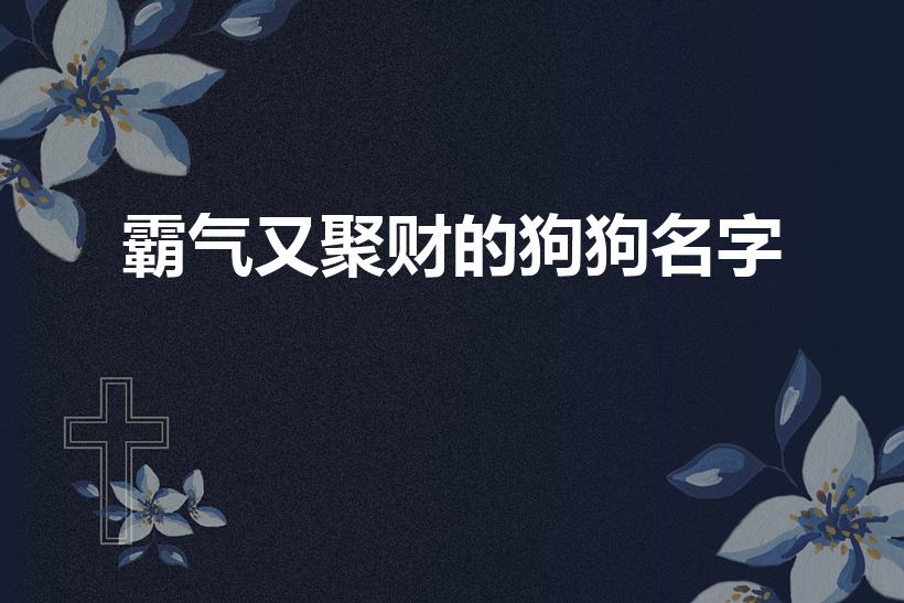 霸气又聚财的狗狗名字（小狗起名字招财霸气）