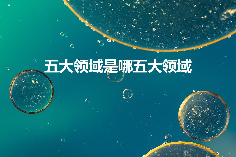五大领域是哪五大领域（五大领域有哪些）