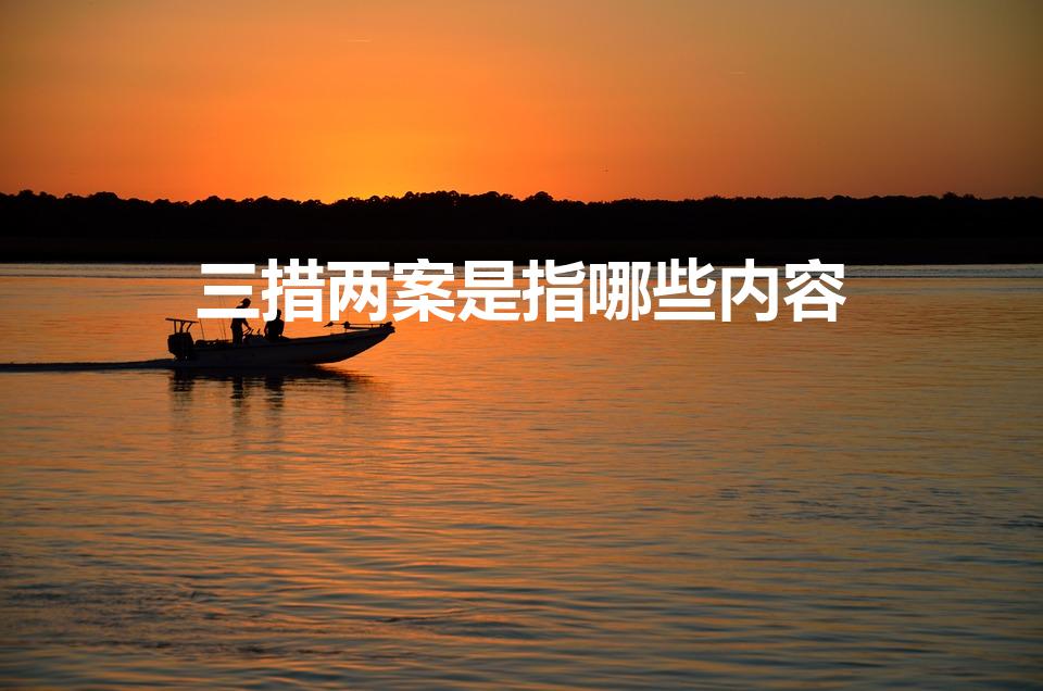 三措两案是指哪些内容（三措两案是什么内容）
