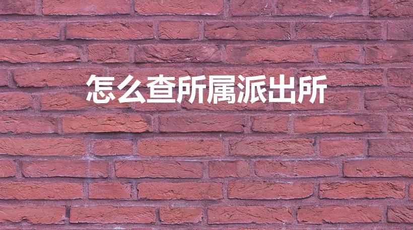 怎么查所属派出所（怎么查属于哪个派出所）