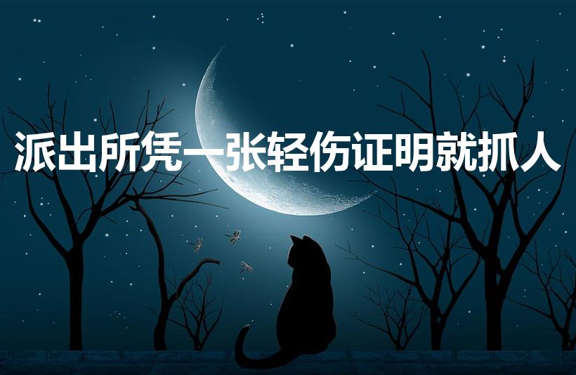 派出所凭一张轻伤证明就抓人（轻伤警察会立马抓人吗）