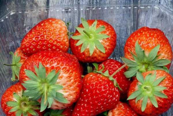 草莓不甜是什么原因（为何草莓变不甜？）