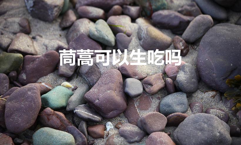 茼蒿可以生吃吗（茼蒿能生吃吗）