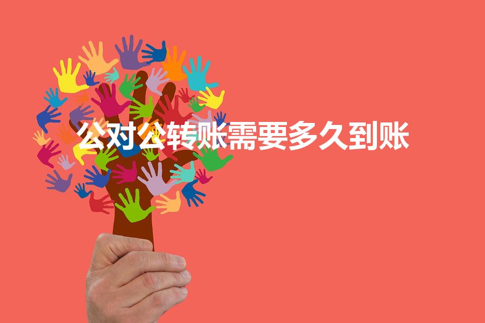 公对公转账需要多久到账（公对公转账要多久到账啊）