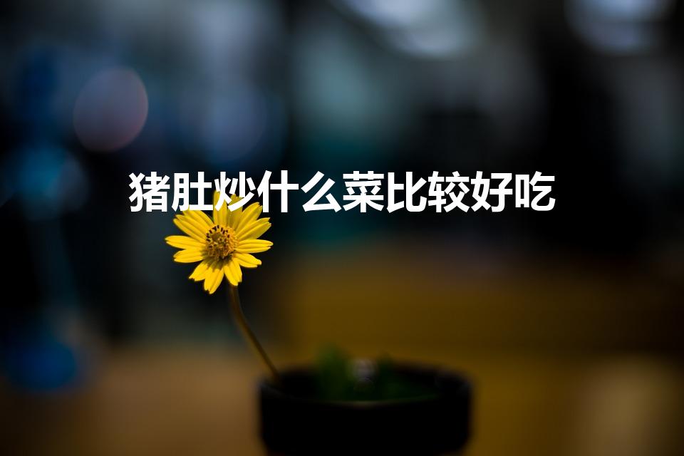 猪肚炒什么菜比较好吃（猪肚炒什么好）