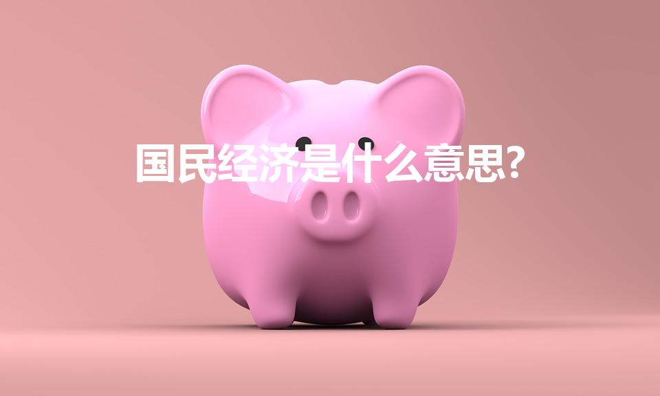国民经济是什么意思?（国民经济是什么意思）