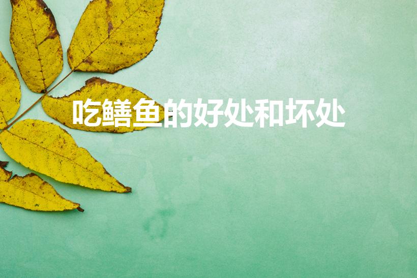 吃鳝鱼的好处和坏处（吃黄鳝有什么坏处）