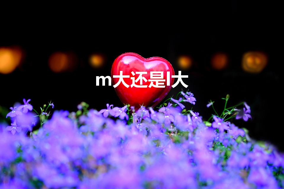 m大还是l大（m号和乚号哪个大）