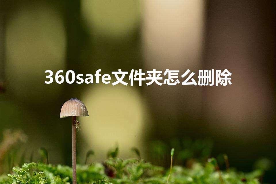360safe文件夹怎么删除