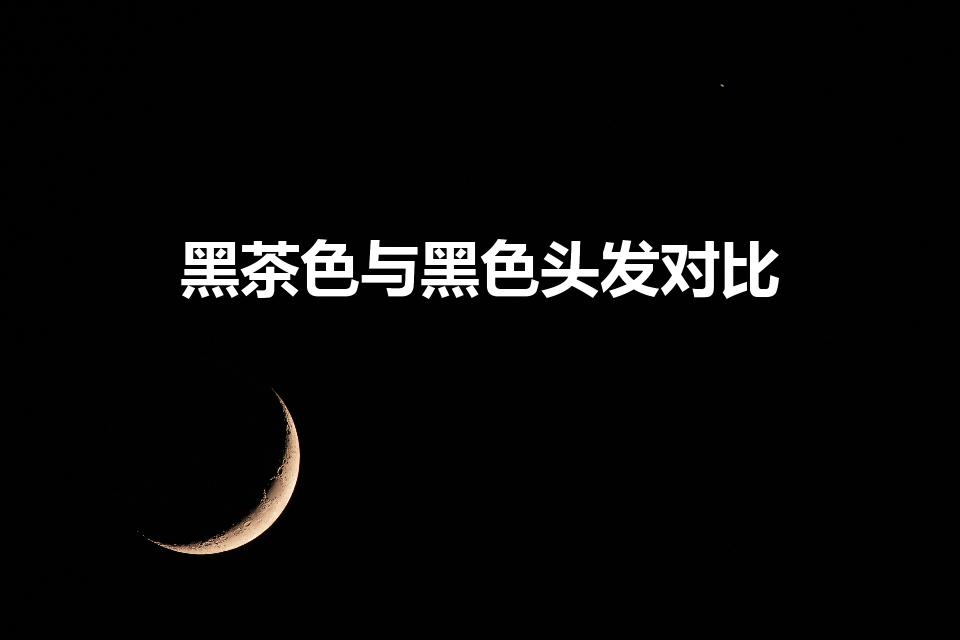 黑茶色与黑色头发对比（茶黑色和黑茶色的区别是什么）